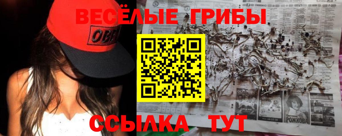 Галлюциногенные грибы GOLDEN TEACHER  Вход с VPN  Саянск 